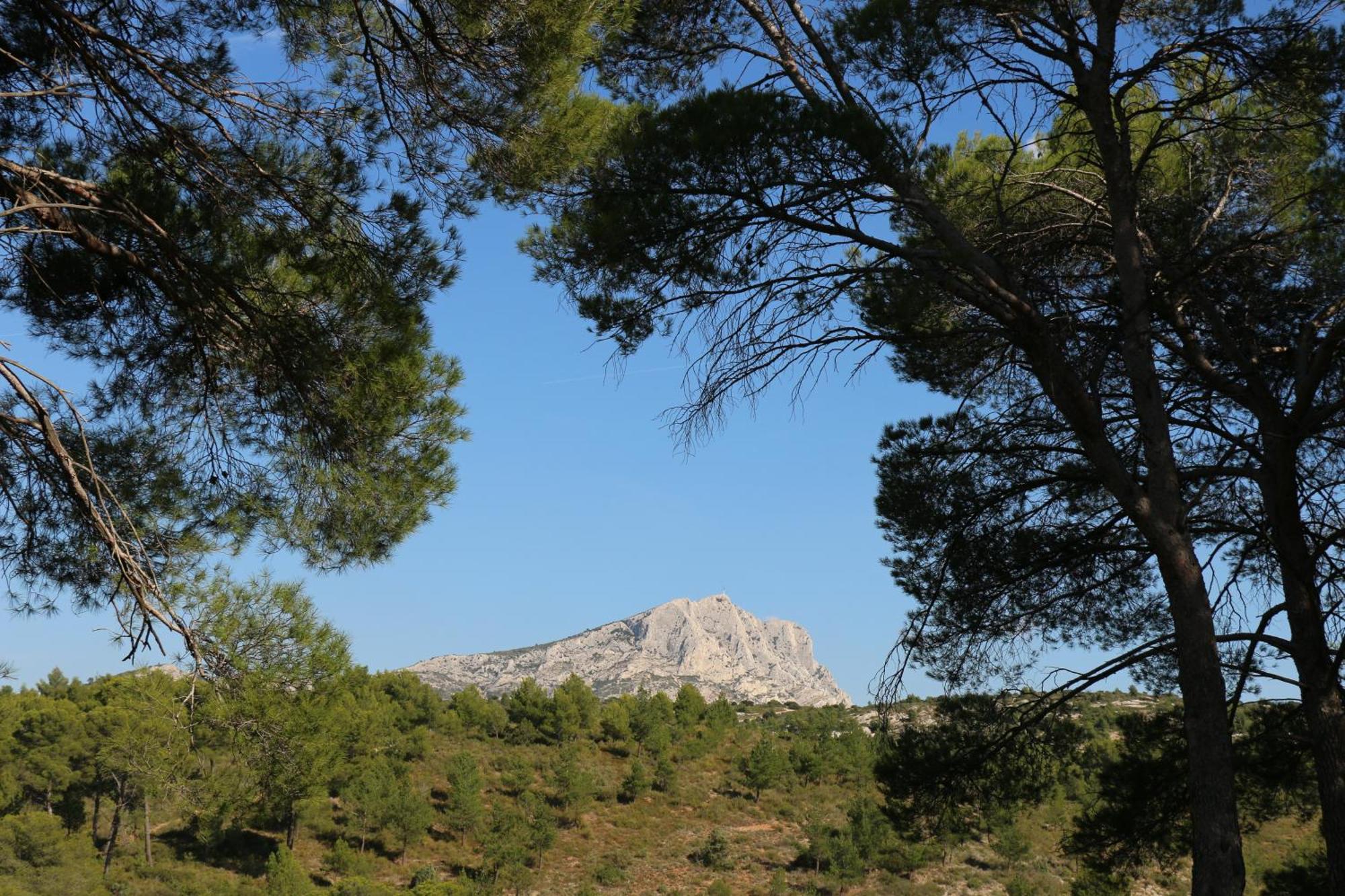 Studio Charmant Au Calme Aix-en-Provence Kültér fotó